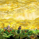 Illustration for article titled Braid Coming To PlayStation 3, Says German Ratings Board
